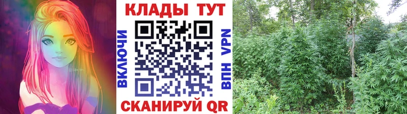 Где найти наркотики Ува МДМА Кокаин Меф мяу мяу АМФ МАРИХУАНА Codein кракен онион СК