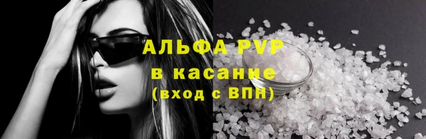 PSILOCYBIN Бородино