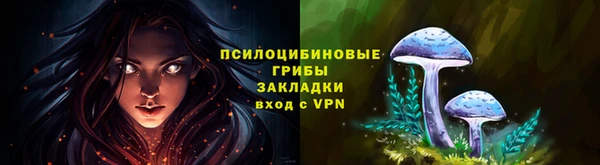 PSILOCYBIN Бородино