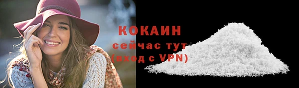 гидра Бронницы