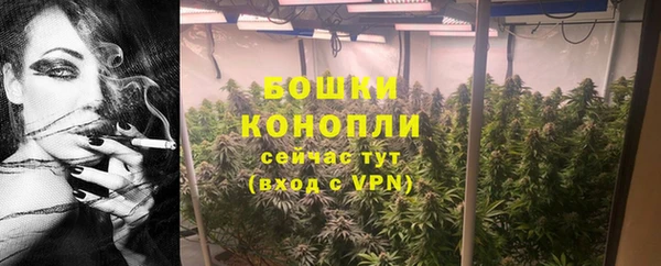 PSILOCYBIN Бородино