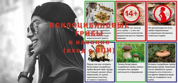 гидра Бронницы