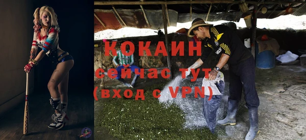 гидра Бронницы