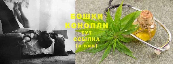 гидра Бронницы