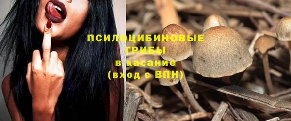 PSILOCYBIN Бородино